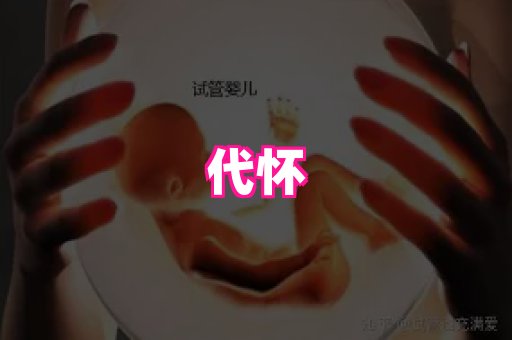 821孕网 2
