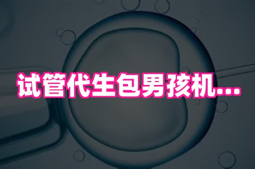 821孕网 4